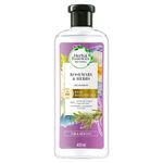 shampoo-herbal-essences-bio-renew-moisture-rosemary-herbs-x-400-ml