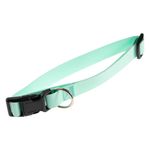 collar-mascota-simplicity-pet-talle-m-aqua