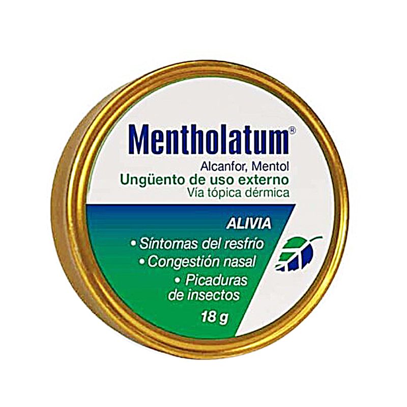 mentholatum-unguento-x-16-g