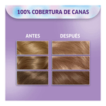 tinturapermanentekoleston818rubioclaroperla