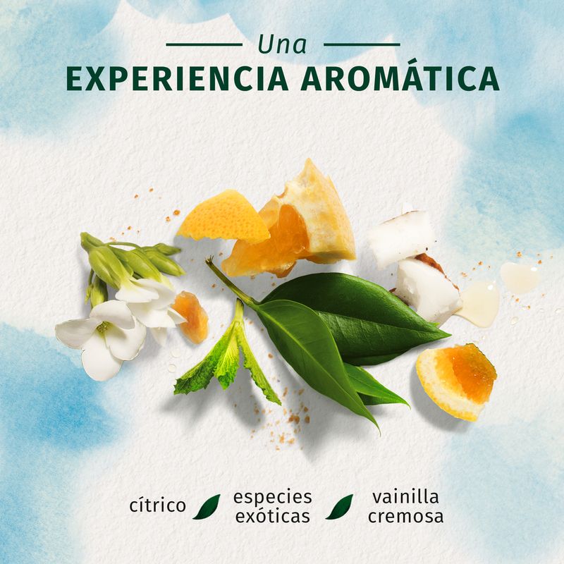 735_shampoo-herbal-renew-reparacion-argan-oil-x-400ml__imagen-1